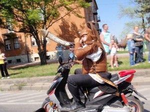 Cari motociclisti vi faccio l’identikit!